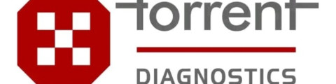 Torrent diagnostics